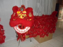 延安南狮（红色）