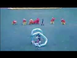 海口师大第48届运动会舞龙舞狮表演视频