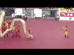 贺山曾教练指导的舞龙队在全国农运会精彩舞龙视频